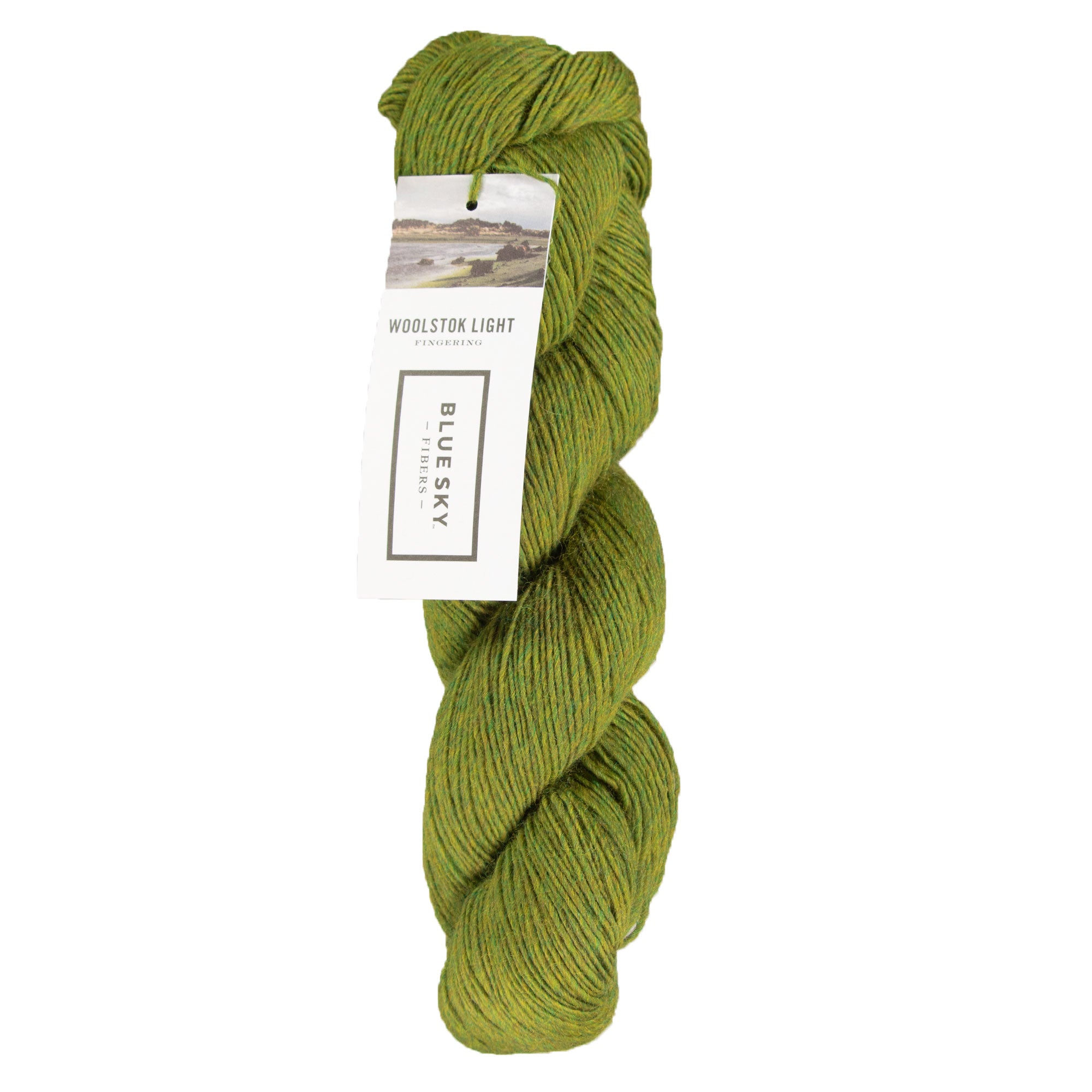 Blue Sky Fibers Woolstok Light Yarn - 2309 Earth Ivy - Zoom Image