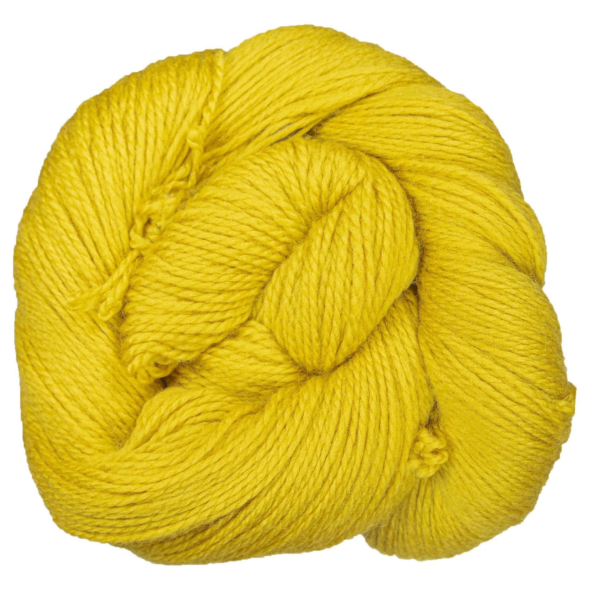Cascade Yarns 220 Superwash Fingering Yarn - 69 Golden Palm - Zoom Image
