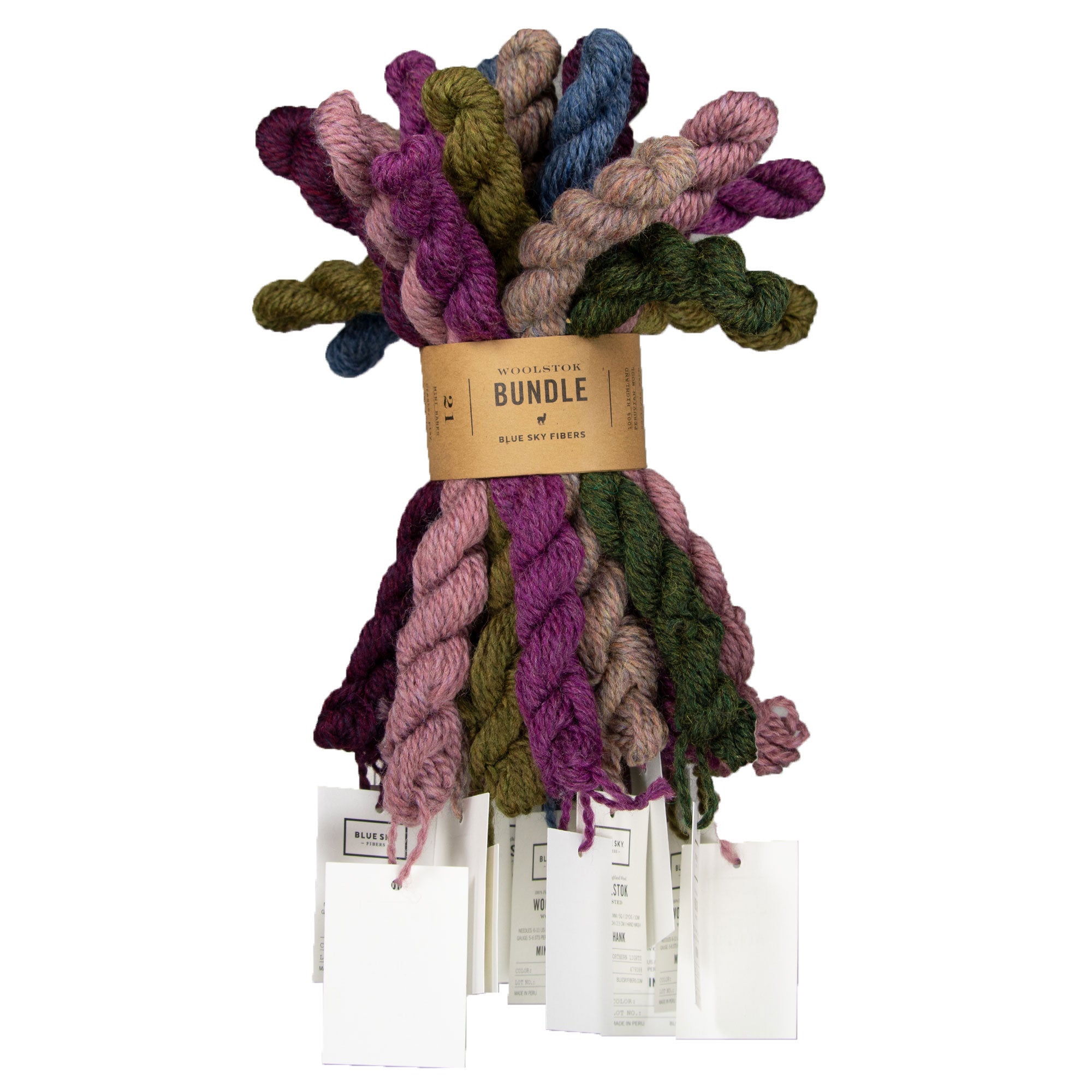 Blue Sky Fibers Woolstok Bundles Yarn - Bramble & Fig - Zoom Image