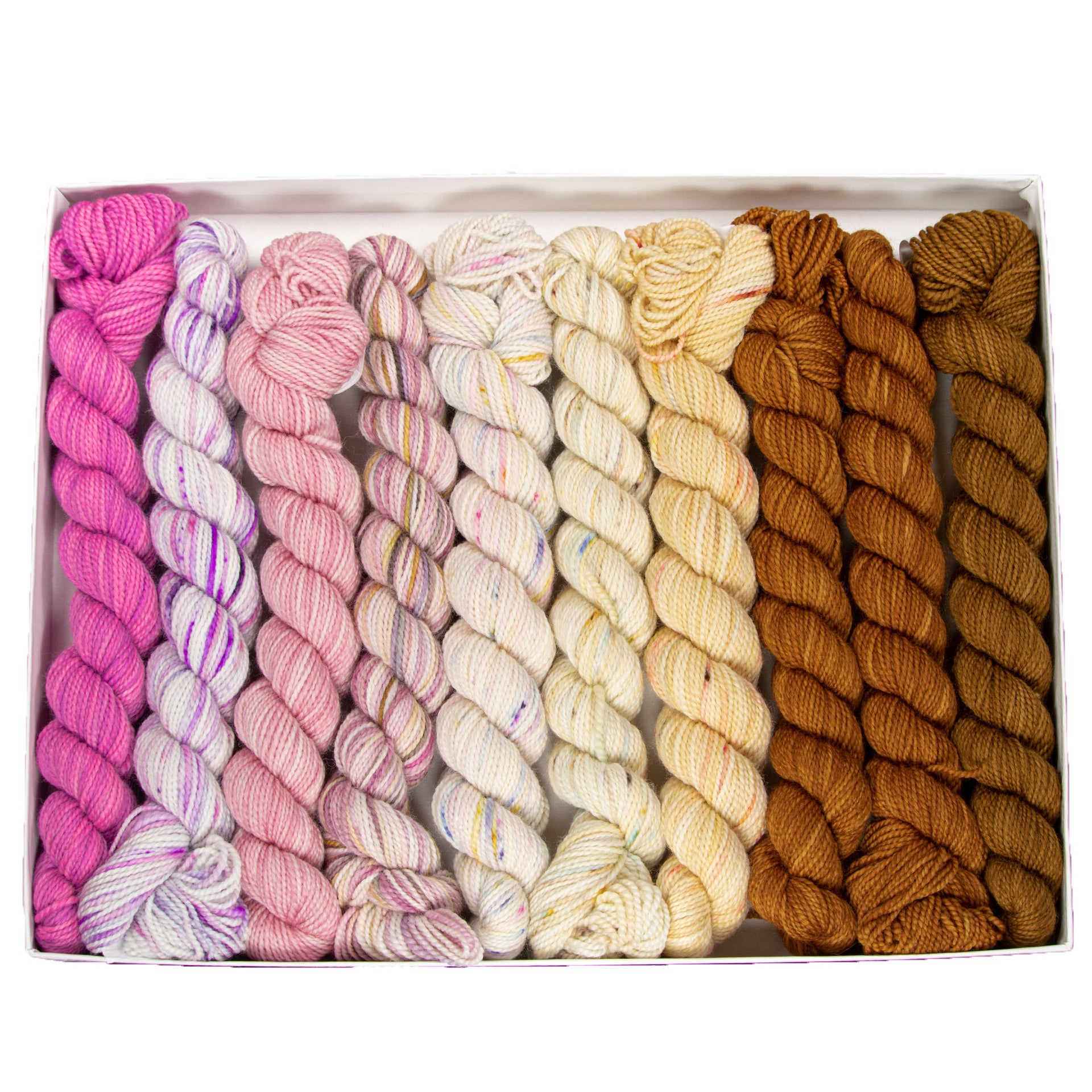 Koigu Pencil Box Yarn - Eremophila Original - Zoom Image
