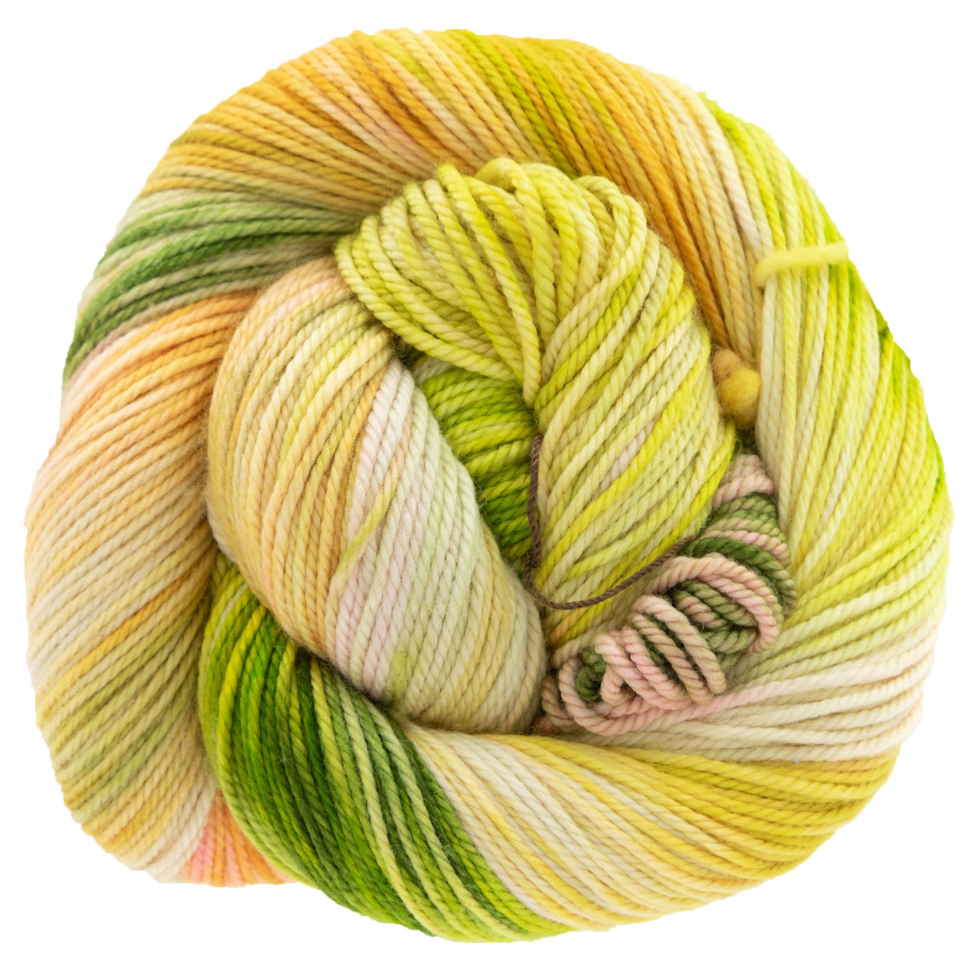 Dream in Color Cosette Yarn - Guava Nice Day - Zoom Image
