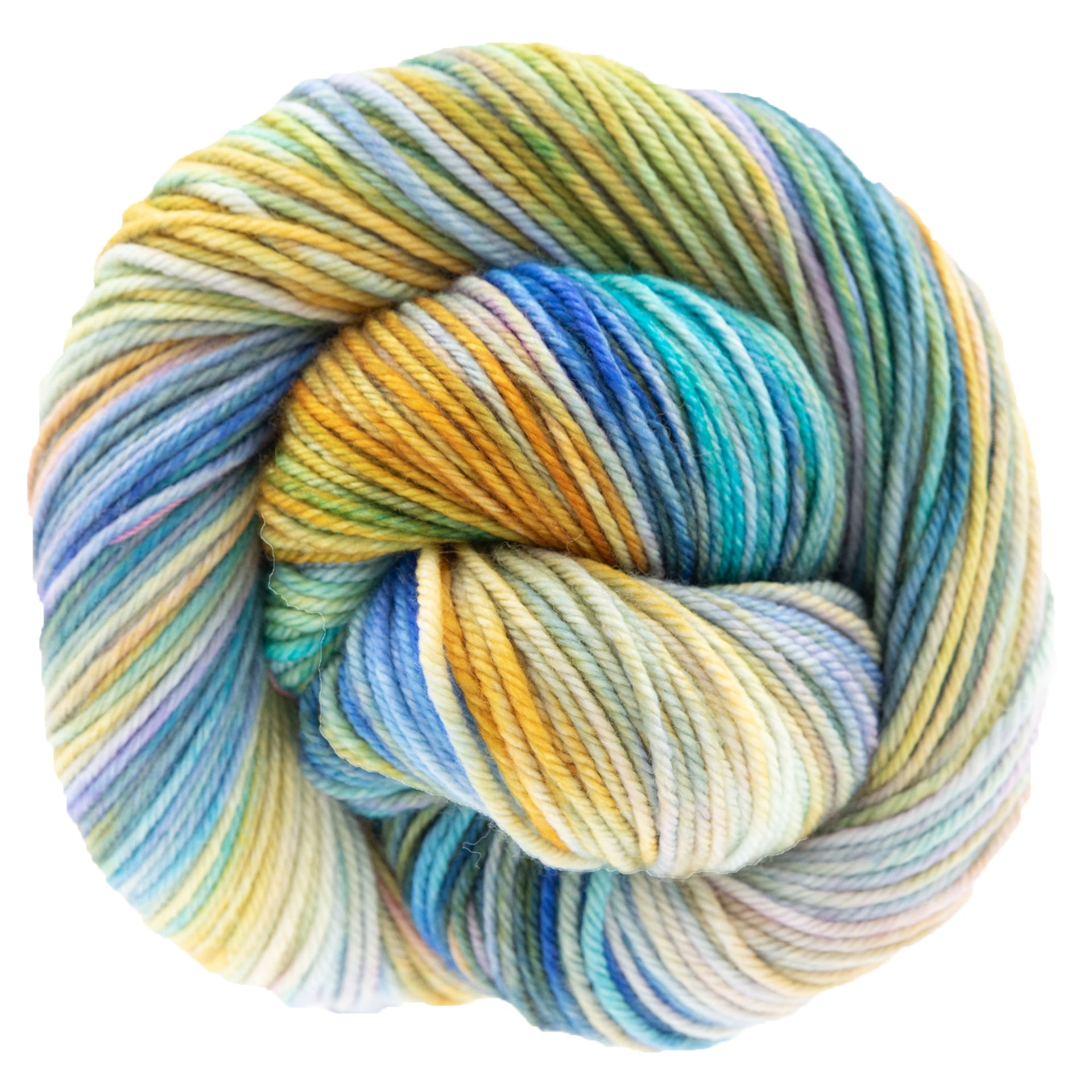 Dream in Color Classy Yarn - Water Dragon - Zoom Image
