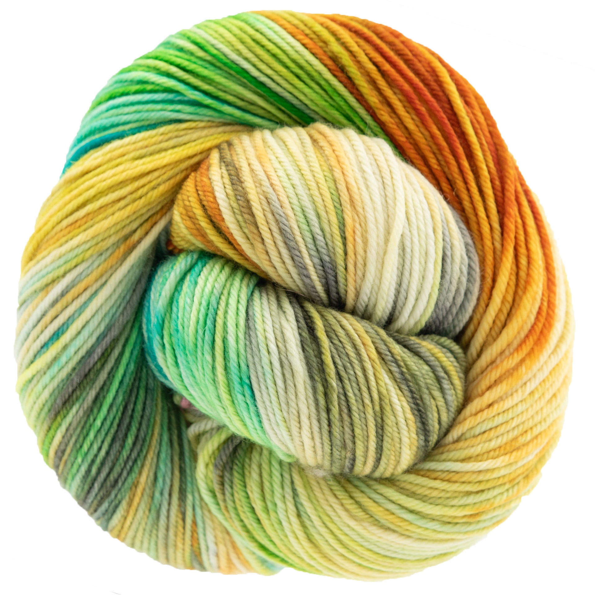 Dream in Color Classy Yarn - Farmers Market - Zoom Image
