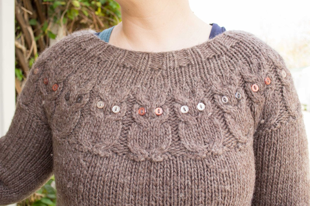 Kristen's Owl Sweater - Main Image 1