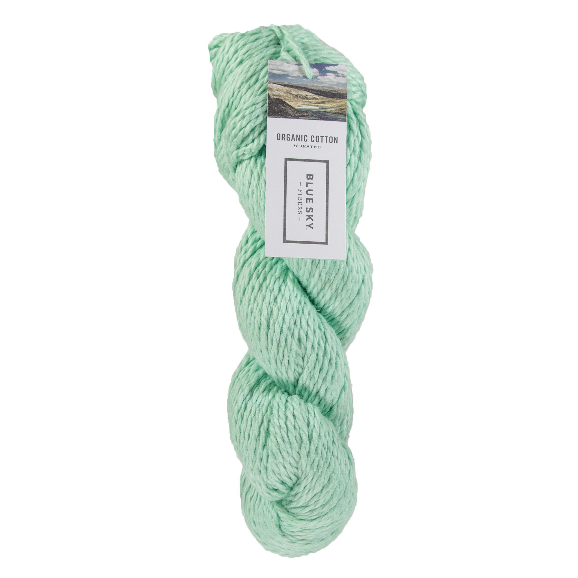 Blue Sky Fibers Organic Cotton Yarn - 604 - Aloe - Zoom Image