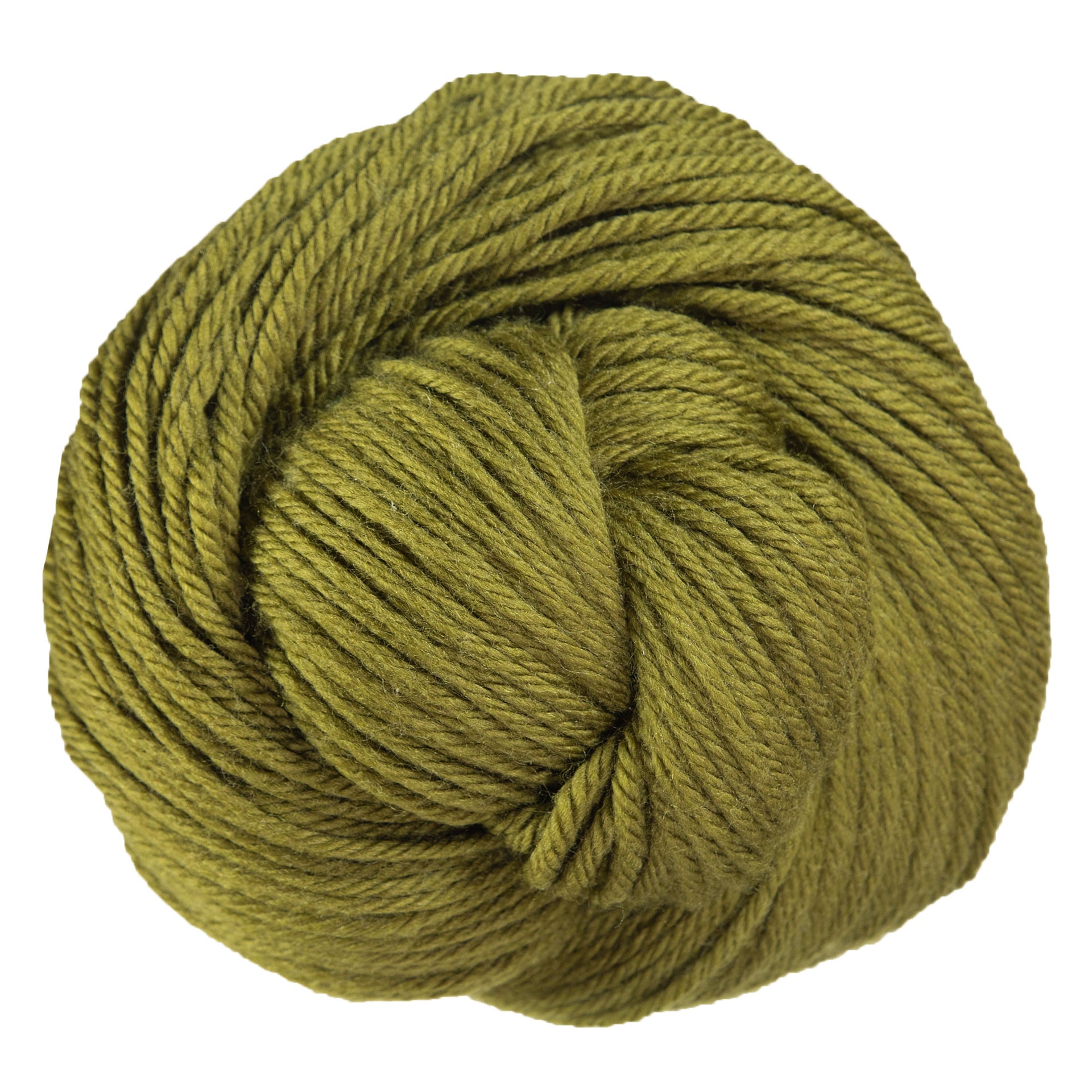 Cascade Yarns 220 Superwash Aran Yarn - 0202 Fir Green - Zoom Image
