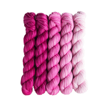SweetGeorgia Tough Love Sock Party of Five Mini-Skein Set Yarn - Hanami - Zoom Image