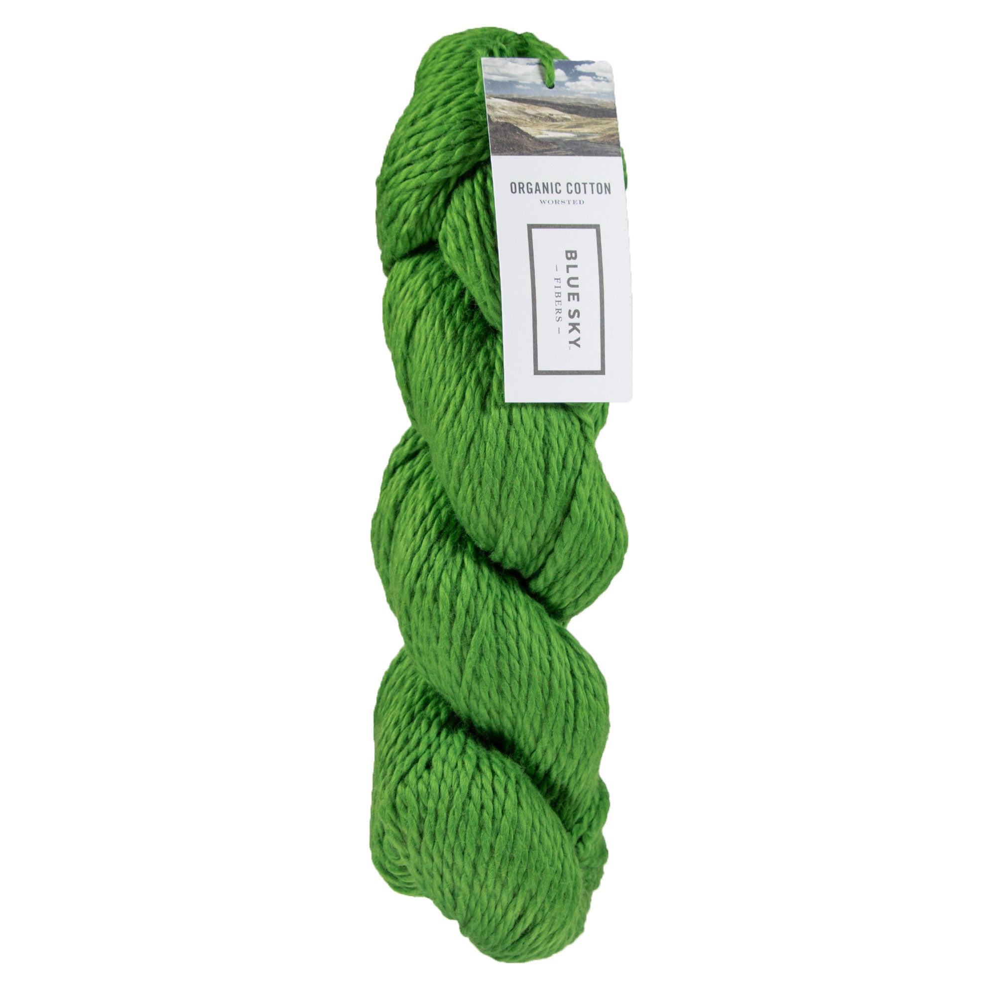 Blue Sky Fibers Organic Cotton Yarn - 633 - Pickle - Zoom Image