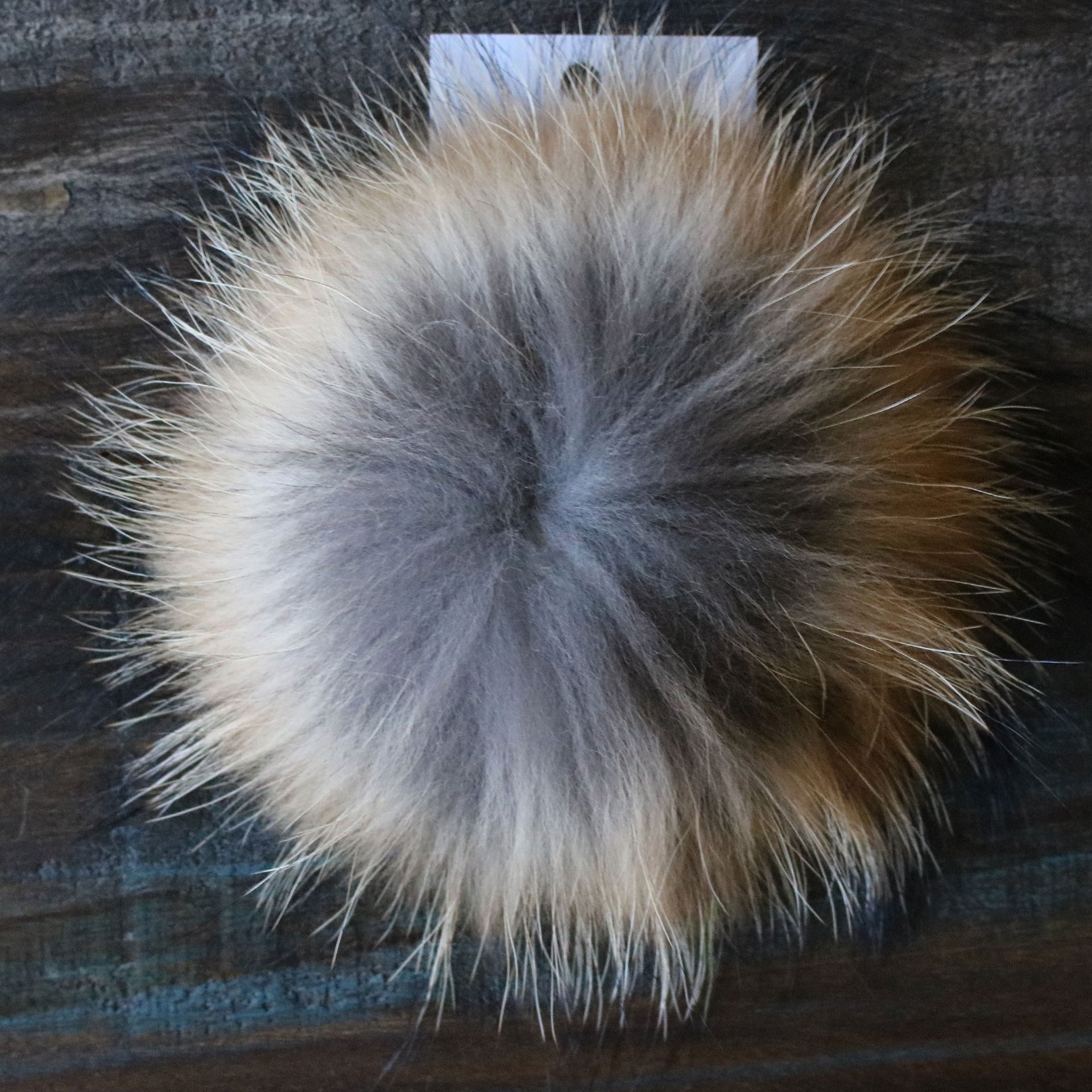 Big Bad Wool Pompoms - Raccoon - Foxy (6") - Zoom Image
