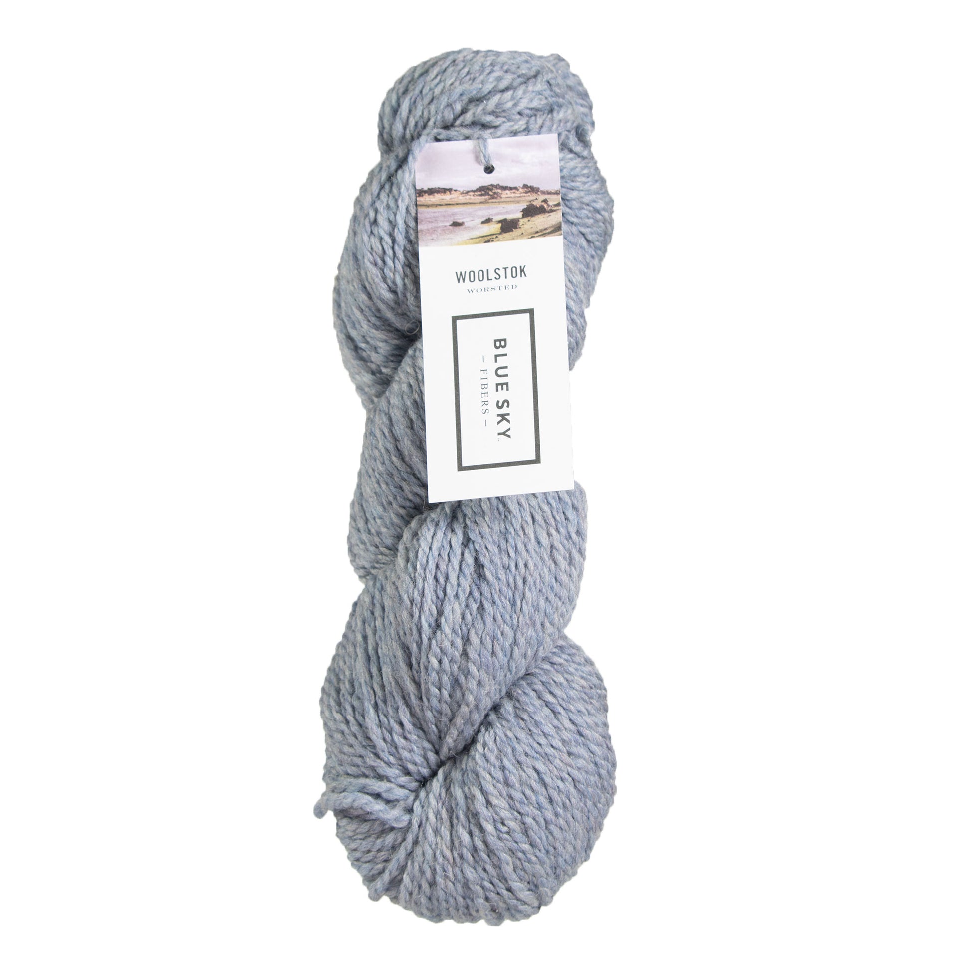 Blue Sky Fibers Woolstok Yarn - 1324 Morning Frost - Zoom Image
