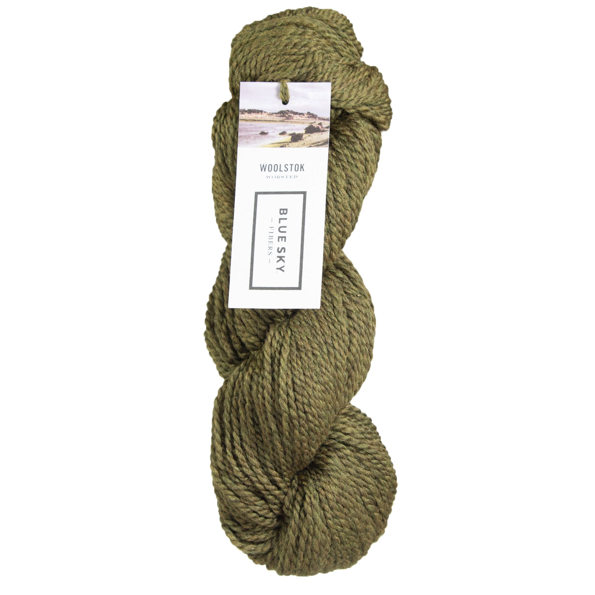 Blue Sky Fibers Woolstok Yarn - 1326 Mossy Green - Zoom Image
