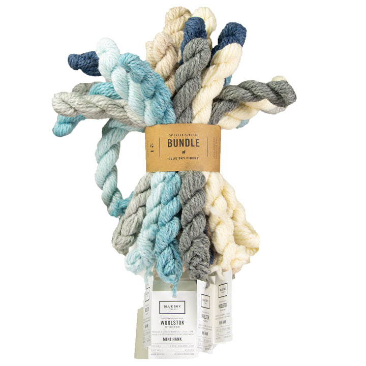 Blue Sky Fibers Woolstok Bundles Yarn - Holiday Frost - Zoom Image