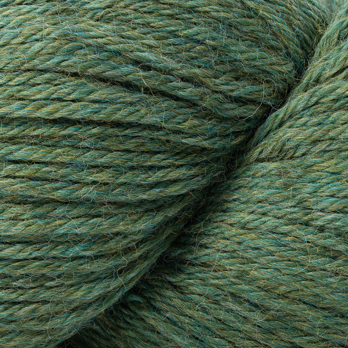 Cascade Yarns Cascade 220 Yarn - 1116 Meadow Heather
