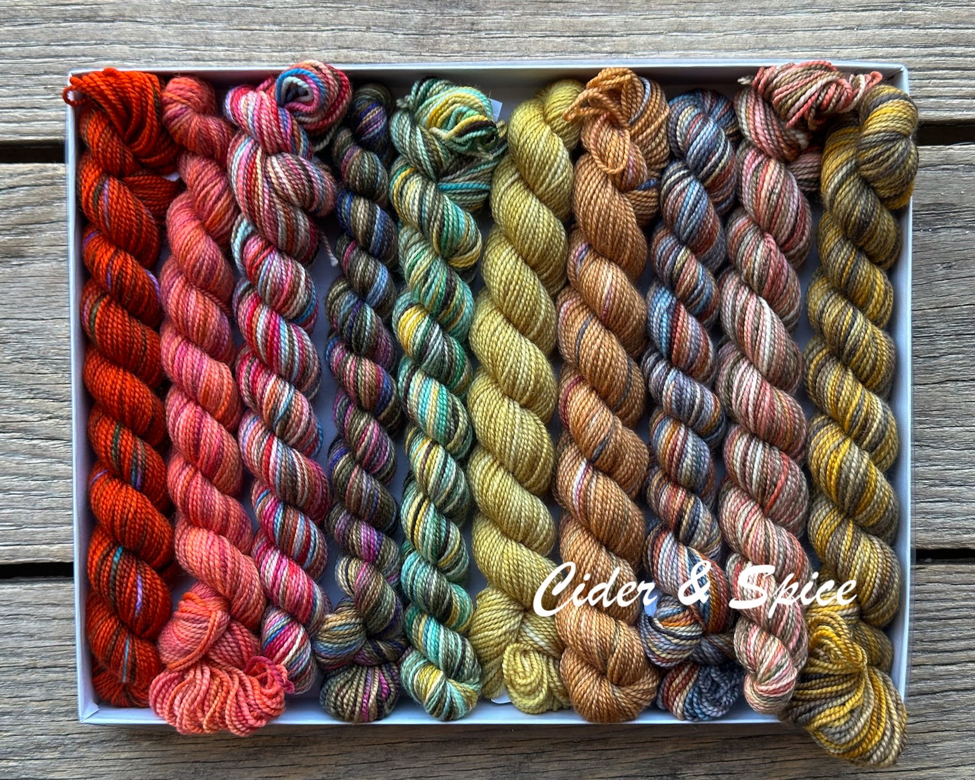 Koigu Pencil Box Yarn - Cider & Spice

