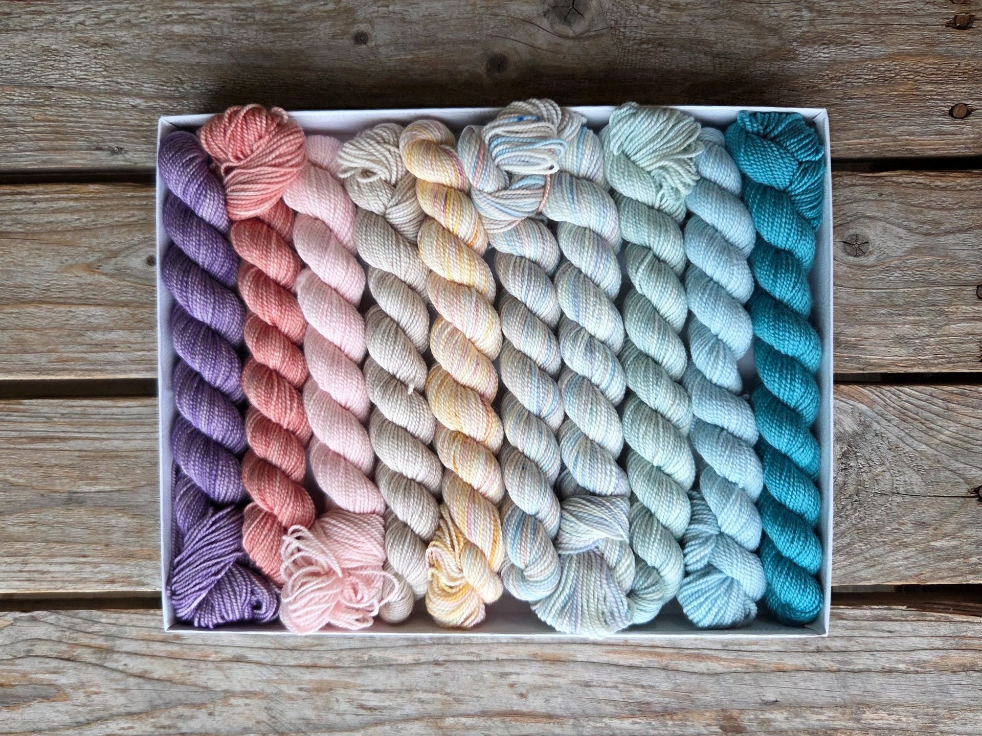 Koigu Pencil Box Yarn - Bridgerton Collection - Daphne
