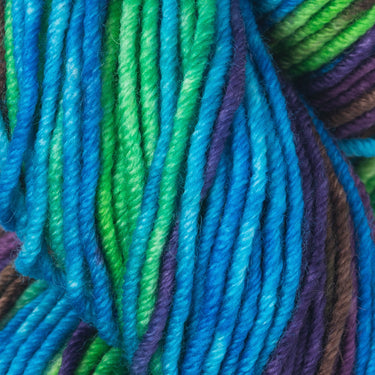 Gusto Wool Echoes Aran Yarn - 5506
