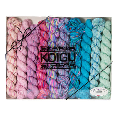 Koigu Pencil Box Yarn - Venation Shawl - Daiquiri