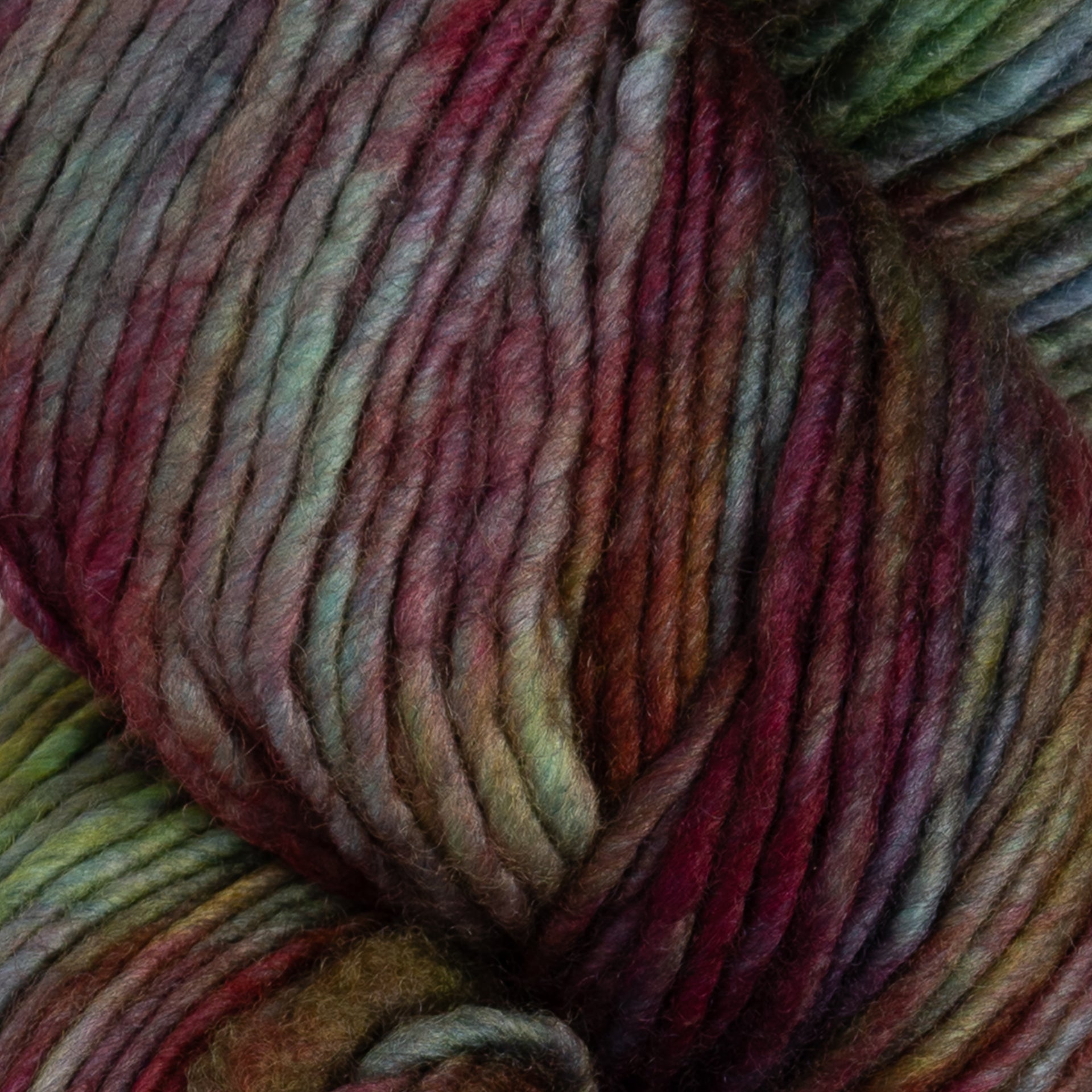 Malabrigo Worsted Merino Yarn - 684 Camaleón
